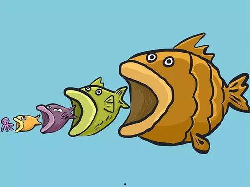 娛樂吃瓜醬可愛小魚,可愛小魚帶你暢游娛樂圈