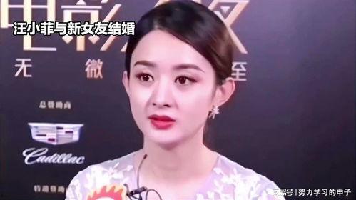 娛樂八卦吃瓜趙麗穎視頻在線觀看,揭秘幕后故事，帶你領(lǐng)略明星風(fēng)采