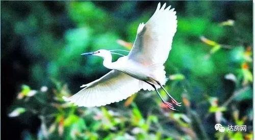 愛豆吃瓜娛樂白鷺,白鷺帶你揭秘娛樂圈幕后故事