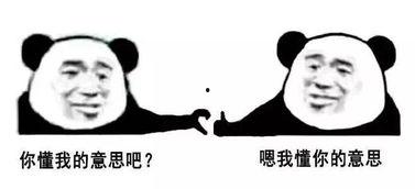 好哥吃瓜娛樂,揭秘娛樂圈幕后故事