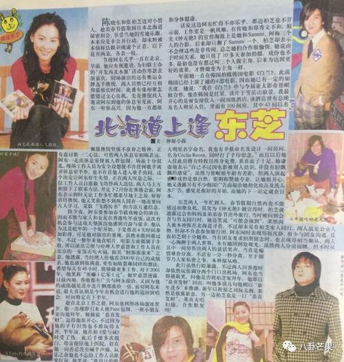 娛樂圈的吃瓜小說,幕后風(fēng)云，瓜田亂舞