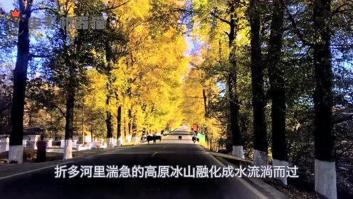 娛樂吃瓜君別墅,揭秘隱藏在豪宅背后的奢華生活