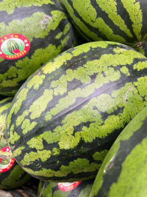 娛樂吃瓜錢,吃瓜群眾如何用“錢”解鎖明星幕后故事