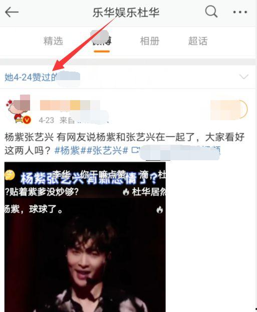 娛樂(lè)吃瓜視頻模板,明星幕后故事大揭秘，吃瓜群眾必看！