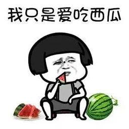 娛樂廳吃瓜,揭秘娛樂圈背后的故事與真相