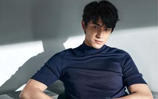 娛樂圈吃瓜爆料林更新,娛樂圈爆料背后的真相與爭(zhēng)議