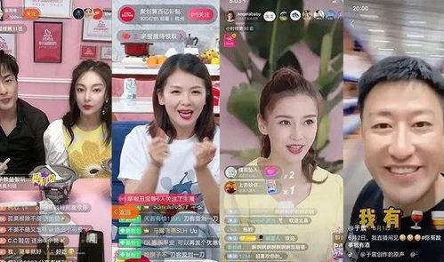 娛樂圈吃瓜直播間小說推文,直播間的瓜田秘聞