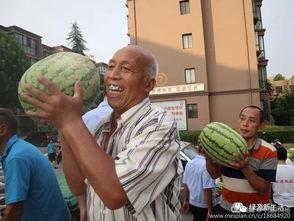 吃瓜娛樂照片大全,吃瓜娛樂照片大全大匯總