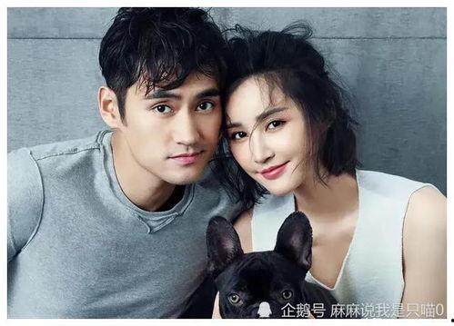 娛樂圈張杰謝娜吃瓜爆料,揭秘明星夫妻的甜蜜與爭(zhēng)議