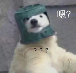 羊了個(gè)羊吃瓜娛樂,吃瓜娛樂背后的網(wǎng)絡(luò)狂歡