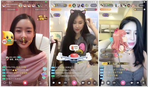 娛樂吃瓜醬畢業(yè)工作,畢業(yè)季的職場初體驗