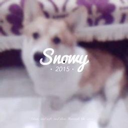 吃瓜少女喵娛樂(lè),揭秘娛樂(lè)圈幕后故事